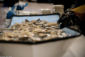 Faites-vous plaisir avec des coquilles Saint-Jacques à seulement 1,50 euro le kilo!